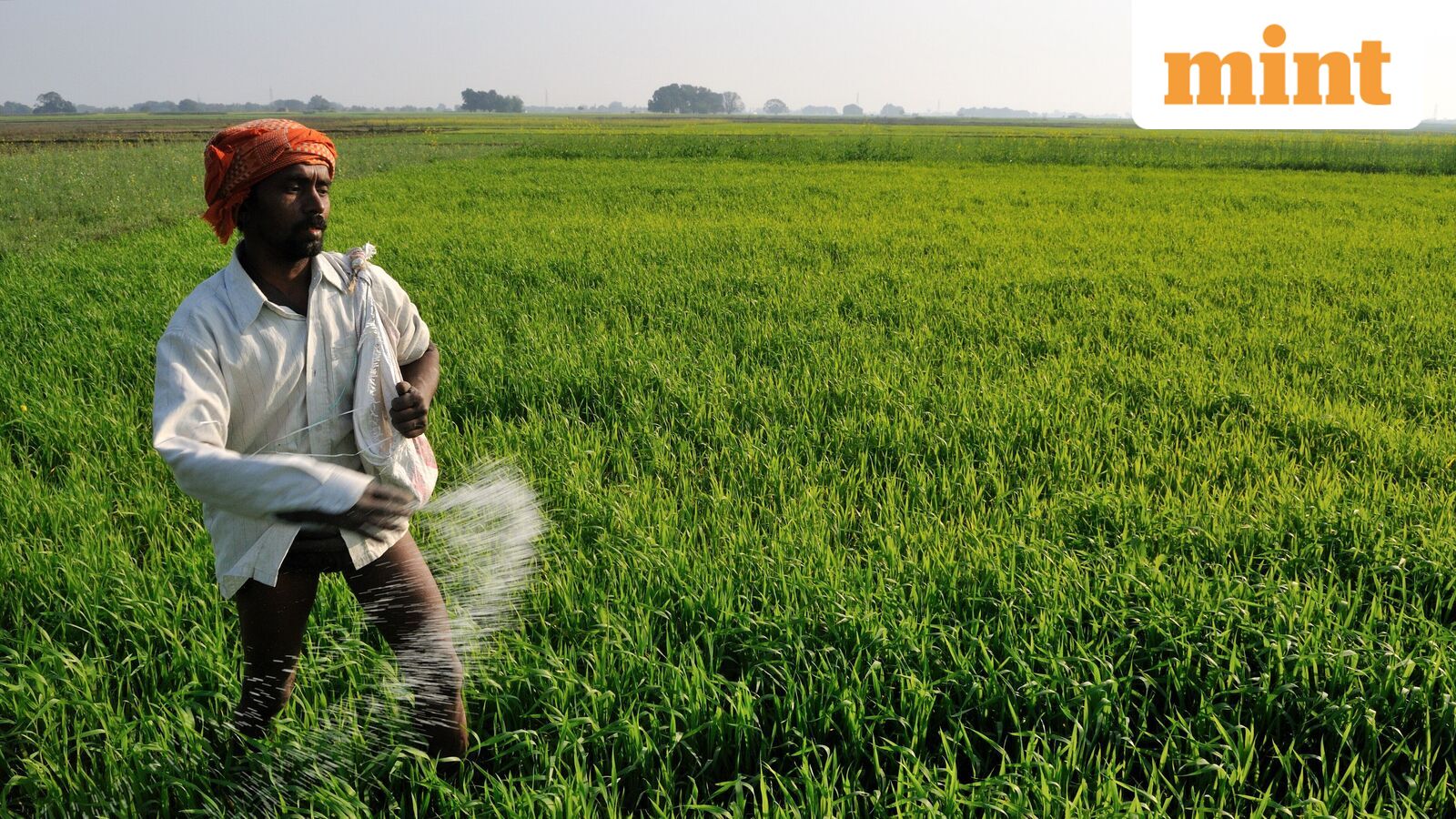 India's urea self-reliance push draws 17 proposals worth  ₹2 trillion