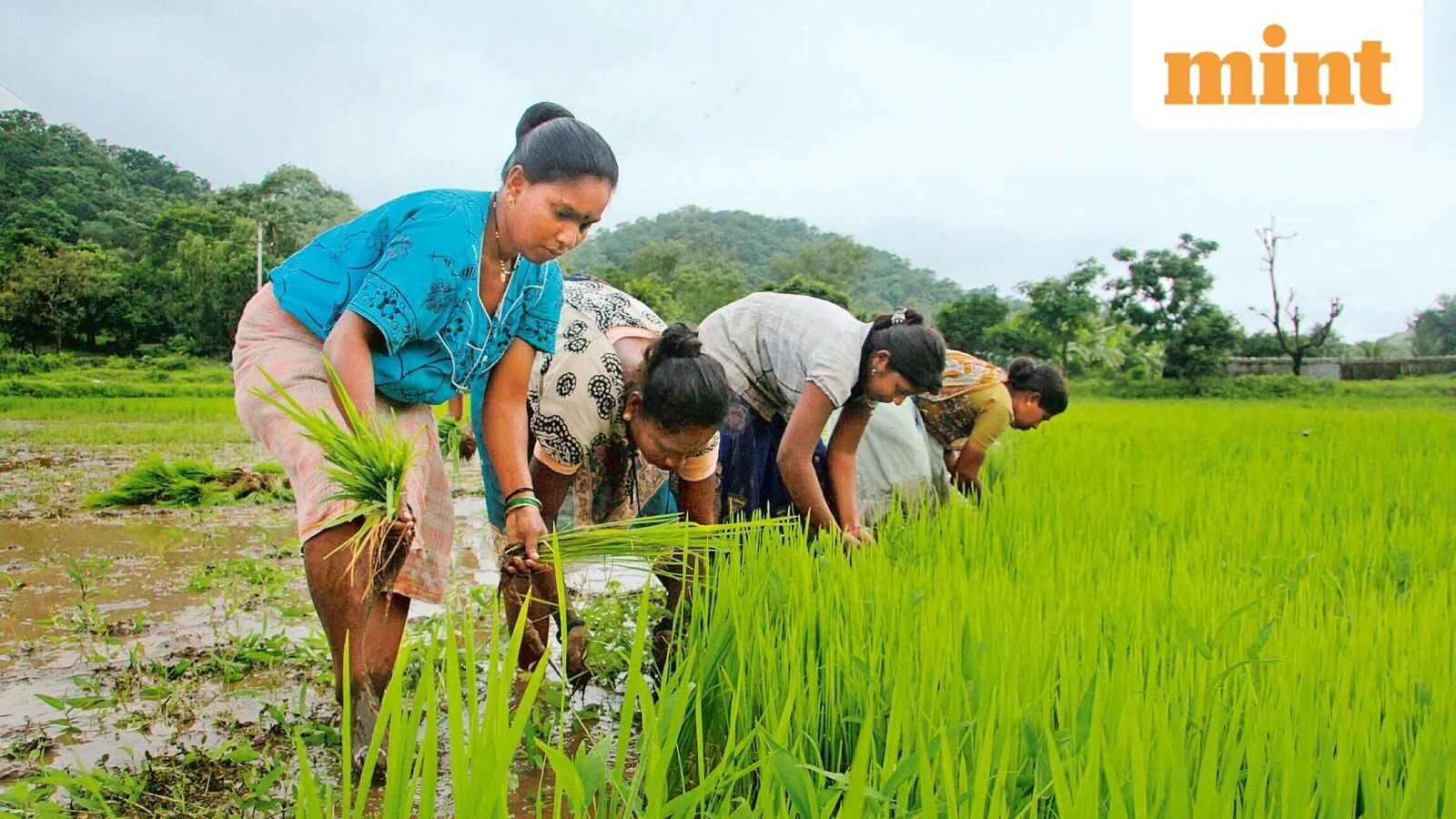 The rise in women at work in India is not a statistical illusion but a cause for optimism over income growth