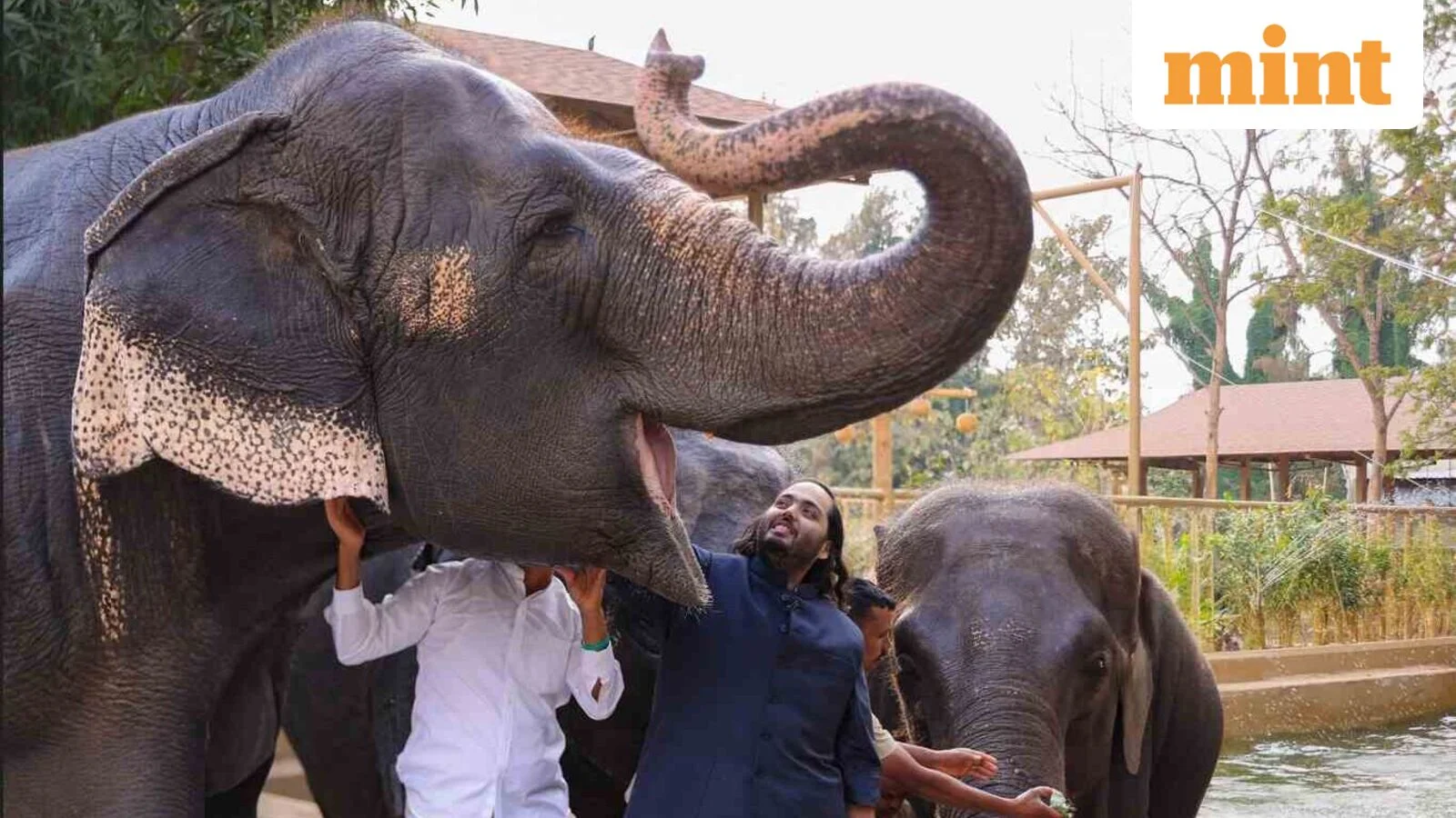Mukesh Ambani’s succession plan confronts a wildlife problem