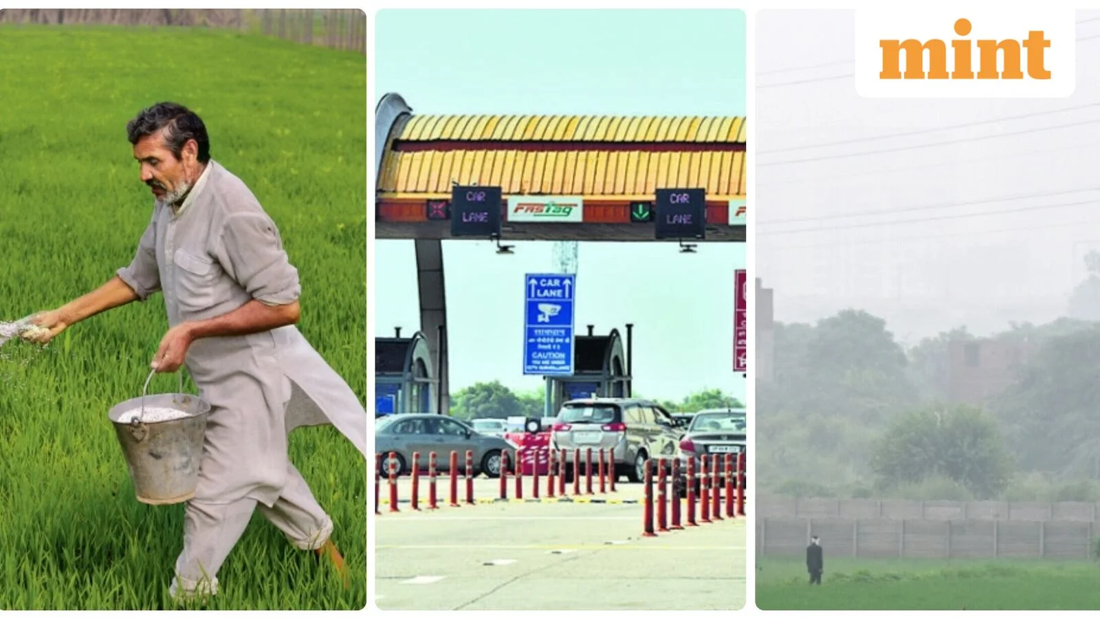 Noida vs Greater Noida yield: Noida Authority hikes farmer compensation by 53%, check highest and lowest land rates